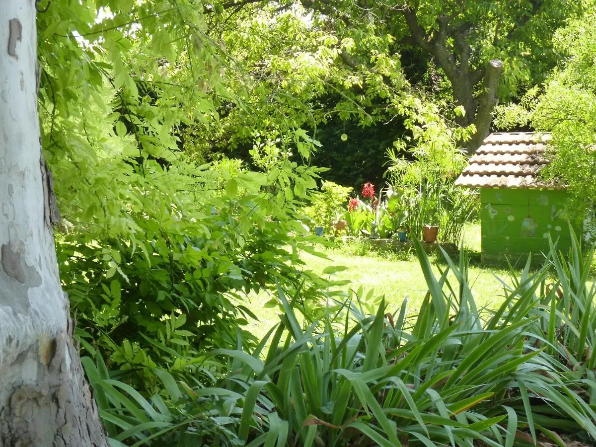 Notre Campagne Provencale Bed & Breakfast Avignon